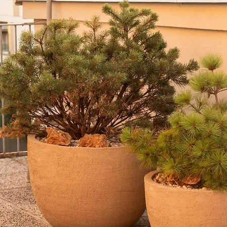 Pinia Centre Modern With Shared Bathroom Ljubljana