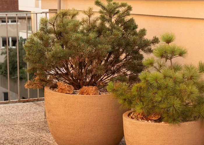 Pinia Centre Modern With Shared Bathroom Lublana