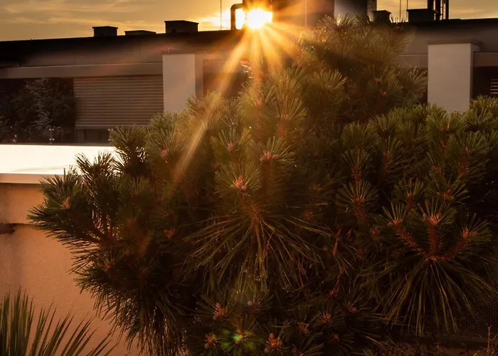 Pinia Centre Modern With Shared Bathroom * Ljubljana