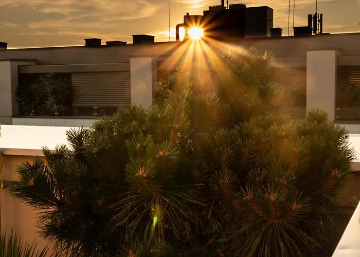 Pinia Centre Modern With Shared Bathroom Lublana