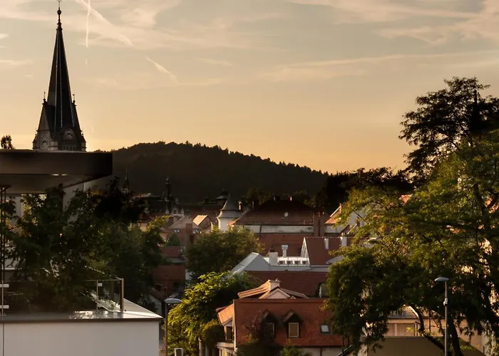 Lägenhet Pinia Centre Modern With Shared Bathroom