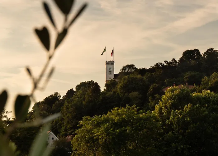 Pinia Centre Modern With Shared Bathroom 아파트 류블랴나